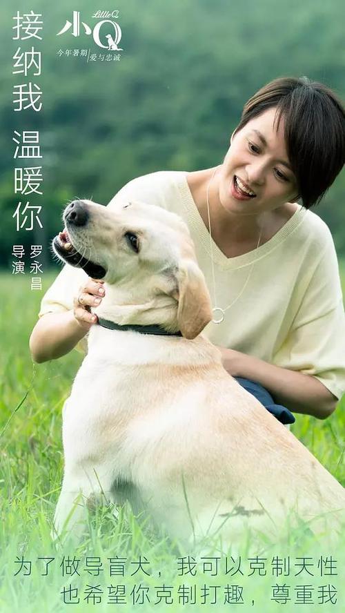 贝兹学院设计学位证